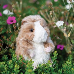 Wrendale 'Daphne' Guinea Pig Plush
